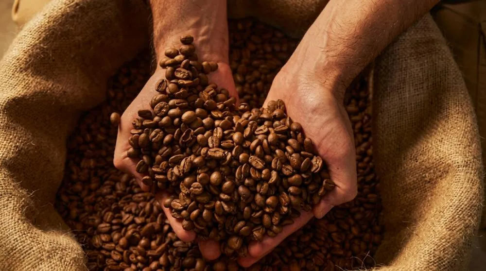 Prefeitura de Santa Teresa realiza a 5ª edição do Prêmio Cafés Especiais